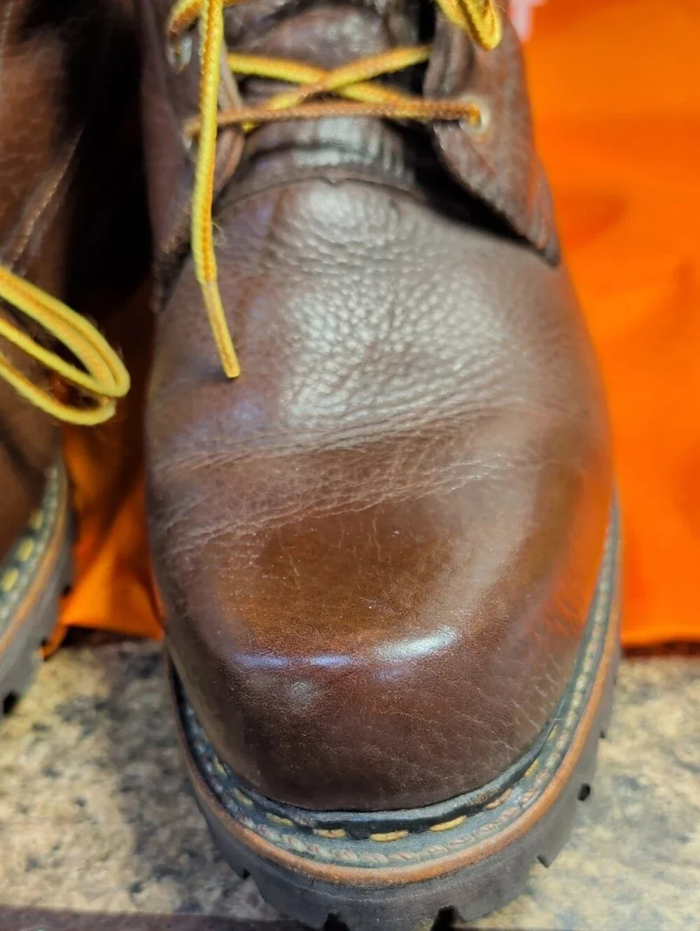 Irish Setter gently pre